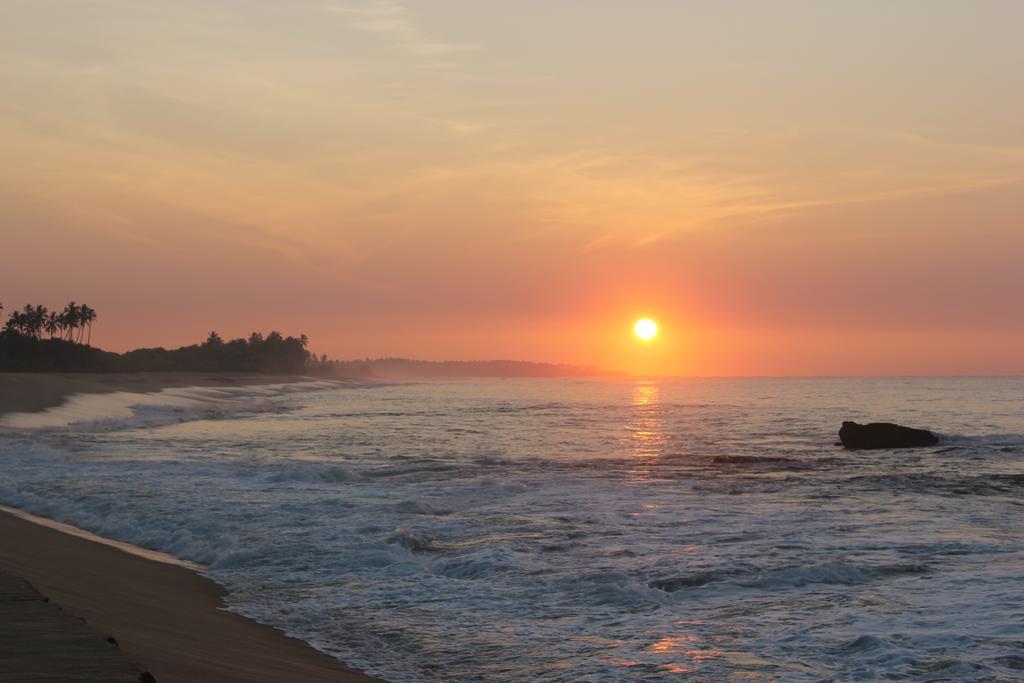 Hideaway Lodge Тангалле Екстер'єр фото